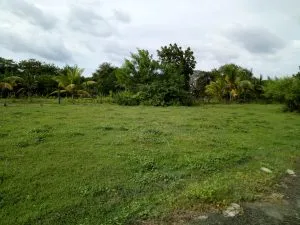 Property 3